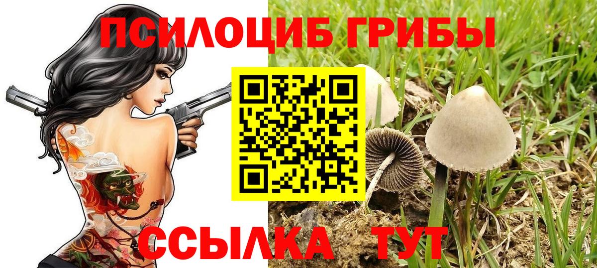 Галлюциногенные грибы мицелий  Вход с VPN  Новый Уренгой 