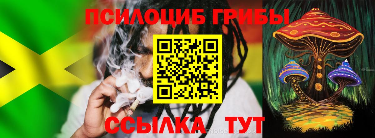 Псилоцибиновые грибы Cubensis Новый Уренгой